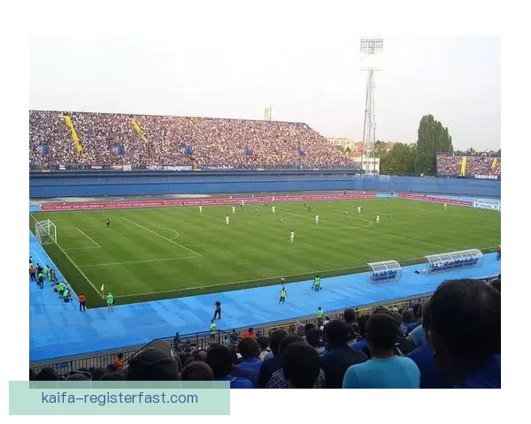 世界杯竞猜盘口深度分析与投注技巧探索